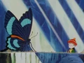 Gohan sees a butterfly.png (1.57 MB) A butterfly on Mount Paozu