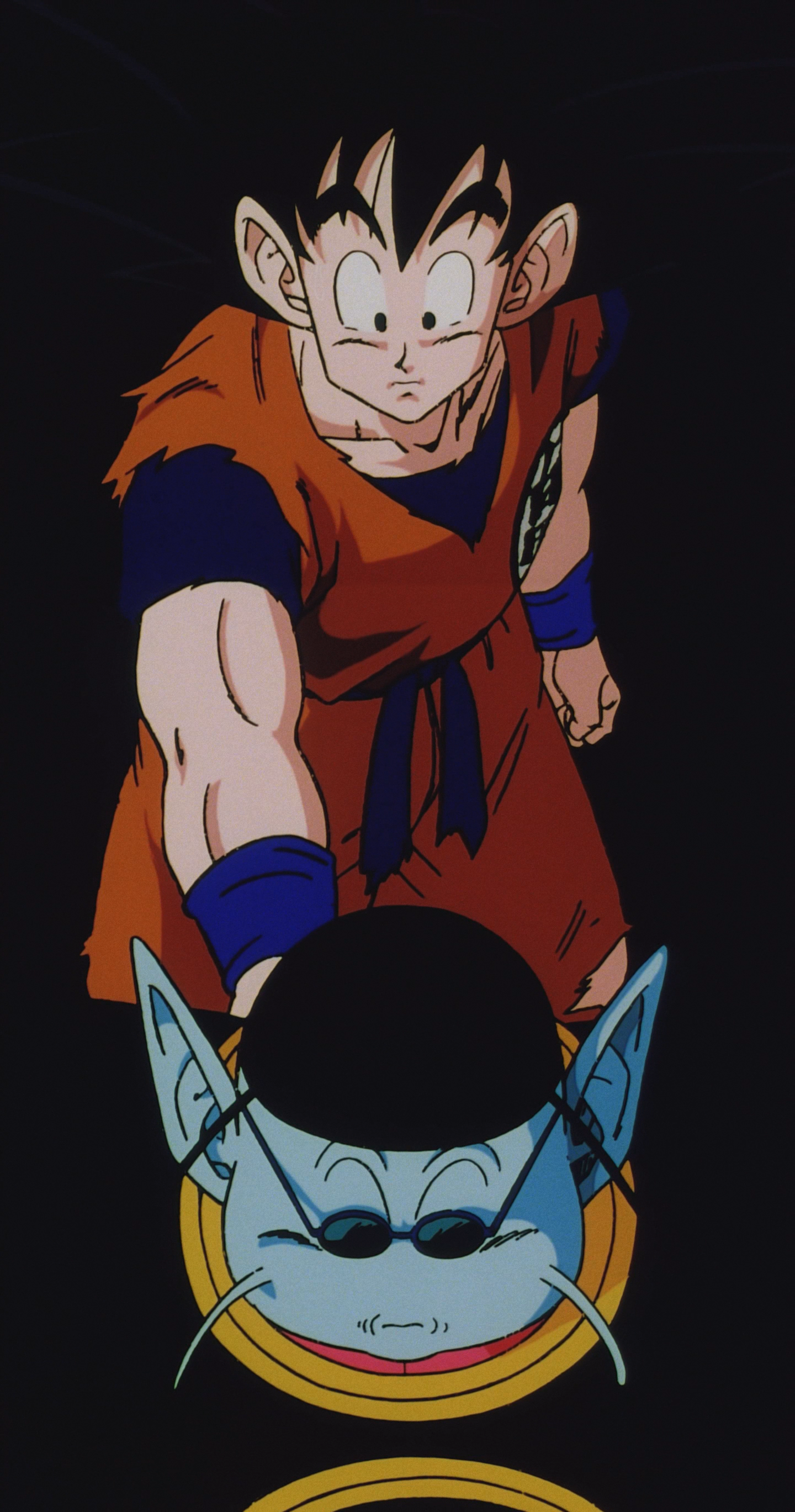 dragon ball episodes 21 dragon ball episodes 21
