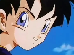 The Wizard S Curse Dragon Ball Wiki Fandom