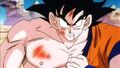 Goku battle damaged