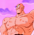 Nappa torse nu