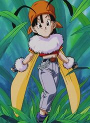 Pan, Dragon Ball Power Levels Wiki