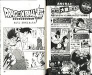 SCSC pg76-77.jpg (703 kB)