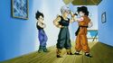 Teen Trunks and SonGoten