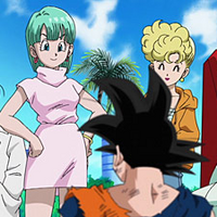 Brief Family Dragon Ball Wiki Fandom Create your own family tree with ancestors and descendants, shape their lives by adding stories, photos, music and movies, and view different graphs. brief family dragon ball wiki fandom