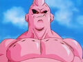 Dbz248(for dbzf.ten.lt) 20120503-18232777