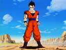 Ultimate Gohan's uniform