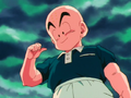 Krillin on the fake Planet Namek