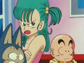 Puar, Bulma, and Krillin