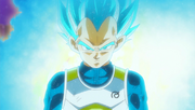 SSGodVegeta