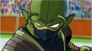 Unnamed Namekian hero