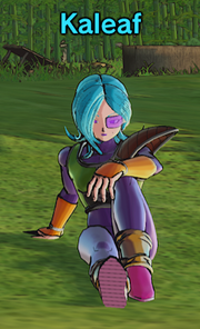 XV2 - Kaleaf