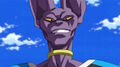 Beerus 7