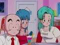 Maron Krillin and Bulma.jpg (172 KB) Krillin, Maron, and Bulma at Kame House