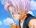 Trunks