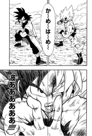 Goku n Goku kameya meya