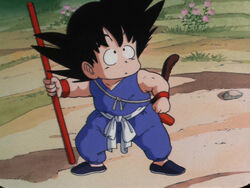 The Secret of the Dragon Balls | Dragon Ball Wiki | Fandom The Secret of the Dragon Balls | Dragon Ball Wiki | Fandom