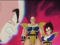 Krillin!!!!.png (107 KB) Krillin, Nappa, Vegeta