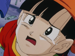Pan Gallery Dragon Ball Wiki Fandom Pan Gallery Dragon Ball Wiki Fandom