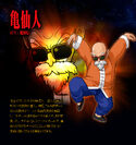 Master Roshi BT3