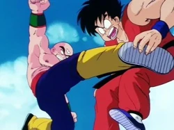 Ten Shin Han coup de pied