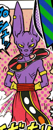 Beerus (Champa clothes)