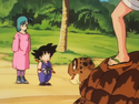 Bulma and Goku see Roshi