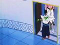 Piccolo entering the Time Chamber