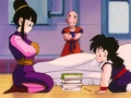 Chi-Chi, Krillin, Gohan