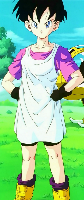 Videl, Dragon Ball Wiki