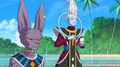 Bills and Whis