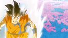 God-like Goku during his training with Whis