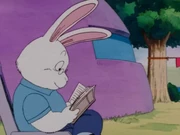 A rabbit reading