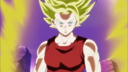 Ssj normal kale