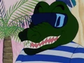 Alligator with sunglasses