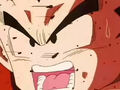 DBZ - 223 - (by dbzf.ten.lt) 20120302-14470803