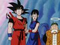 Goku, Chi-Chi, and Grandpa Gohan