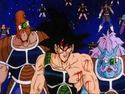 Combatants and Bardock