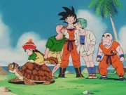 Gohan subindo na Tartaruga