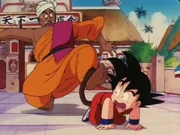 Nam vs Goku