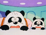PandaFriends