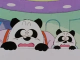 PandaFriends.jpg (49 KB) Pandas hide when they see Giran arrive