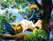 Gokua aparece