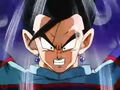 Dbz241(for dbzf.ten.lt) 20120403-17145413