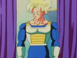 What Is The Tournament Dragon Ball Wiki Fandom