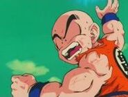 Krillin6