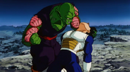 Piccolo Vegeta.png