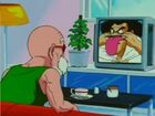 Roshi watches the Cell Games