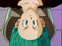 Bulma upside down