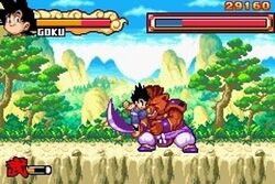 The Dragon Ball Adventure